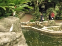 KL_Birdpark_0008.jpg