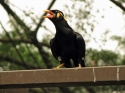 KL_Birdpark_0029.jpg