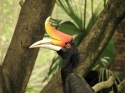 Bestandsnaam=KL_Birdpark_0032.jpg
Bestandsgrootte=137KiB
Afmetingen = 1600x1200
Datum toegevoegd = %15 %317 %2015 KL_Birdpark_0032.jpg