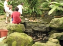 Bestandsnaam=KL_Birdpark_0034.jpg
Bestandsgrootte=306KiB
Afmetingen = 1600x1200
Datum toegevoegd = %15 %317 %2015 KL_Birdpark_0034.jpg