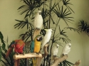 Bestandsnaam=KL_Birdpark_0035.jpg
Bestandsgrootte=185KiB
Afmetingen = 1600x1200
Datum toegevoegd = %15 %317 %2015 KL_Birdpark_0035.jpg