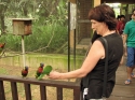 Bestandsnaam=KL_Birdpark_0041.jpg
Bestandsgrootte=254KiB
Afmetingen = 1600x1200
Datum toegevoegd = %15 %318 %2015 KL_Birdpark_0041.jpg