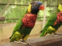 Bestandsnaam=KL_Birdpark_0045.jpg
Bestandsgrootte=158KiB
Afmetingen = 1600x1200
Datum toegevoegd = %15 %318 %2015 KL_Birdpark_0045.jpg