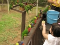 Bestandsnaam=KL_Birdpark_0046.jpg
Bestandsgrootte=318KiB
Afmetingen = 1600x1200
Datum toegevoegd = %15 %318 %2015 KL_Birdpark_0046.jpg