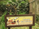 Bestandsnaam=KL_Birdpark_0050.jpg
Bestandsgrootte=292KiB
Afmetingen = 1600x1200
Datum toegevoegd = %15 %318 %2015 KL_Birdpark_0050.jpg