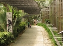 KL_Birdpark_0051.jpg