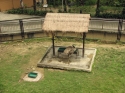 KL_Birdpark_0055.jpg