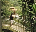 Bestandsnaam=KL_Birdpark_0066.jpg
Bestandsgrootte=276KiB
Afmetingen = 1335x1200
Datum toegevoegd = %15 %320 %2015 KL_Birdpark_0066.jpg