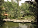 Bestandsnaam=KL_Birdpark_0067.jpg
Bestandsgrootte=349KiB
Afmetingen = 1600x1200
Datum toegevoegd = %15 %320 %2015 KL_Birdpark_0067.jpg