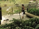 Bestandsnaam=KL_Birdpark_0073.jpg
Bestandsgrootte=287KiB
Afmetingen = 1600x1200
Datum toegevoegd = %15 %321 %2015 KL_Birdpark_0073.jpg
