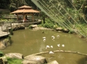 Bestandsnaam=KL_Birdpark_0075.jpg
Bestandsgrootte=283KiB
Afmetingen = 1600x1200
Datum toegevoegd = %15 %321 %2015 KL_Birdpark_0075.jpg