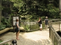 Bestandsnaam=KL_Birdpark_0077.jpg
Bestandsgrootte=289KiB
Afmetingen = 1600x1200
Datum toegevoegd = %15 %321 %2015 KL_Birdpark_0077.jpg