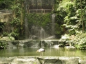 KL_Birdpark_0081.jpg