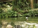 Bestandsnaam=KL_Birdpark_0083.jpg
Bestandsgrootte=325KiB
Afmetingen = 1600x1200
Datum toegevoegd = %15 %321 %2015 KL_Birdpark_0083.jpg