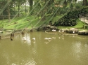 KL_Birdpark_0084.jpg