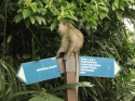 Bestandsnaam=KL_Birdpark_0091.jpg
Bestandsgrootte=235KiB
Afmetingen = 1600x1200
Datum toegevoegd = %15 %321 %2015 KL_Birdpark_0091.jpg
