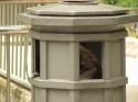 Bestandsnaam=KL_Birdpark_0094.jpg
Bestandsgrootte=135KiB
Afmetingen = 1600x1200
Datum toegevoegd = %15 %322 %2015 KL_Birdpark_0094.jpg