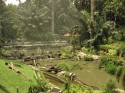 KL_Birdpark_0097.jpg