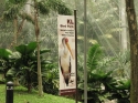Bestandsnaam=KL_Birdpark_0099.jpg
Bestandsgrootte=337KiB
Afmetingen = 1600x1200
Datum toegevoegd = %15 %322 %2015 KL_Birdpark_0099.jpg