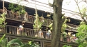 Bestandsnaam=KL_Birdpark_0117.jpg
Bestandsgrootte=227KiB
Afmetingen = 1597x879
Datum toegevoegd = %15 %323 %2015 KL_Birdpark_0117.jpg