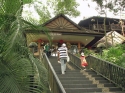 KL_Birdpark_0118.jpg