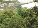 KL_Birdpark_0152.jpg