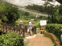 Bestandsnaam=KL_Birdpark_0156.jpg
Bestandsgrootte=342KiB
Afmetingen = 1600x1200
Datum toegevoegd = %15 %330 %2015 KL_Birdpark_0156.jpg