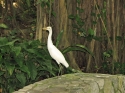Bestandsnaam=KL_Birdpark_0163.jpg
Bestandsgrootte=232KiB
Afmetingen = 1600x1200
Datum toegevoegd = %15 %331 %2015 KL_Birdpark_0163.jpg