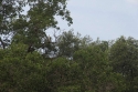 Bestandsnaam=Kuantan_0073.jpg
Bestandsgrootte=406KiB
Afmetingen = 2048x1365
Datum toegevoegd = %15 %233 %2015 Kuantan_0073.jpg