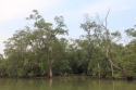 Bestandsnaam=Kuantan_0086.jpg
Bestandsgrootte=382KiB
Afmetingen = 2048x1365
Datum toegevoegd = %15 %234 %2015 Kuantan_0086.jpg