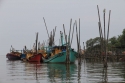 Bestandsnaam=Kuantan_0094.jpg
Bestandsgrootte=262KiB
Afmetingen = 2048x1365
Datum toegevoegd = %15 %234 %2015 Kuantan_0094.jpg