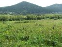 Bestandsnaam=Lesnoye_045.jpg
Bestandsgrootte=829KiB
Afmetingen = 2048x1536
Datum toegevoegd = %16 %222 %2014 Lesnoye_045.jpg