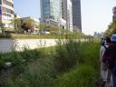 Seoul_Oct07_016.jpg