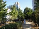Bestandsnaam=Seoul_Oct12_445.jpg
Bestandsgrootte=1111KiB
Afmetingen = 2048x1536
Datum toegevoegd = %05 %412 %2014 Seoul_Oct12_445.jpg