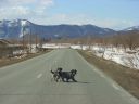 Bestandsnaam=Sinegorsk29.jpg
Bestandsgrootte=217KiB
Afmetingen = 2048x1536
Datum toegevoegd = %16 %200 %2014 Sinegorsk29.jpg