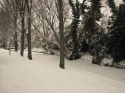 Bestandsnaam=Sneeuw_in_Rijnsburg_0006.jpg
Bestandsgrootte=637KiB
Afmetingen = 2272x1704
Datum toegevoegd = %15 %368 %2015 Sneeuw_in_Rijnsburg_0006.jpg