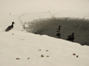 Bestandsnaam=Sneeuw_in_Rijnsburg_0008.jpg
Bestandsgrootte=420KiB
Afmetingen = 2272x1704
Datum toegevoegd = %15 %369 %2015 Sneeuw_in_Rijnsburg_0008.jpg