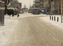 Sneeuw_in_Rijnsburg_0010.jpg