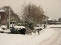 Sneeuw_in_Rijnsburg_0011.jpg