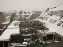 Sneeuw_in_Rijnsburg_0120.jpg