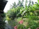 Bestandsnaam=Thailand0112.JPG
Bestandsgrootte=411KiB
Afmetingen = 1024x768
Datum toegevoegd = %05 %083 %2014 Thailand0112.JPG