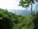Bestandsnaam=Thailand0183.JPG
Bestandsgrootte=359KiB
Afmetingen = 1024x768
Datum toegevoegd = %05 %092 %2014 Thailand0183.JPG