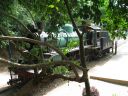 Bestandsnaam=Thailand0194.JPG
Bestandsgrootte=355KiB
Afmetingen = 1024x768
Datum toegevoegd = %05 %092 %2014 Thailand0194.JPG