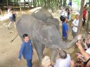 Bestandsnaam=Thailand0207.JPG
Bestandsgrootte=227KiB
Afmetingen = 1024x768
Datum toegevoegd = %05 %093 %2014 Thailand0207.JPG