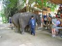 Bestandsnaam=Thailand0209.JPG
Bestandsgrootte=269KiB
Afmetingen = 1024x768
Datum toegevoegd = %05 %093 %2014 Thailand0209.JPG