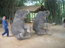 Bestandsnaam=Thailand0210.JPG
Bestandsgrootte=298KiB
Afmetingen = 1024x768
Datum toegevoegd = %05 %093 %2014 Thailand0210.JPG