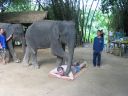 Bestandsnaam=Thailand0212.JPG
Bestandsgrootte=329KiB
Afmetingen = 1024x768
Datum toegevoegd = %05 %093 %2014 Thailand0212.JPG