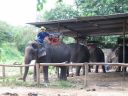 Bestandsnaam=Thailand0213.JPG
Bestandsgrootte=308KiB
Afmetingen = 1024x768
Datum toegevoegd = %05 %094 %2014 Thailand0213.JPG