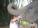 Bestandsnaam=Thailand0215.JPG
Bestandsgrootte=284KiB
Afmetingen = 1024x768
Datum toegevoegd = %05 %094 %2014 Thailand0215.JPG