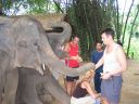 Thailand0216.JPG